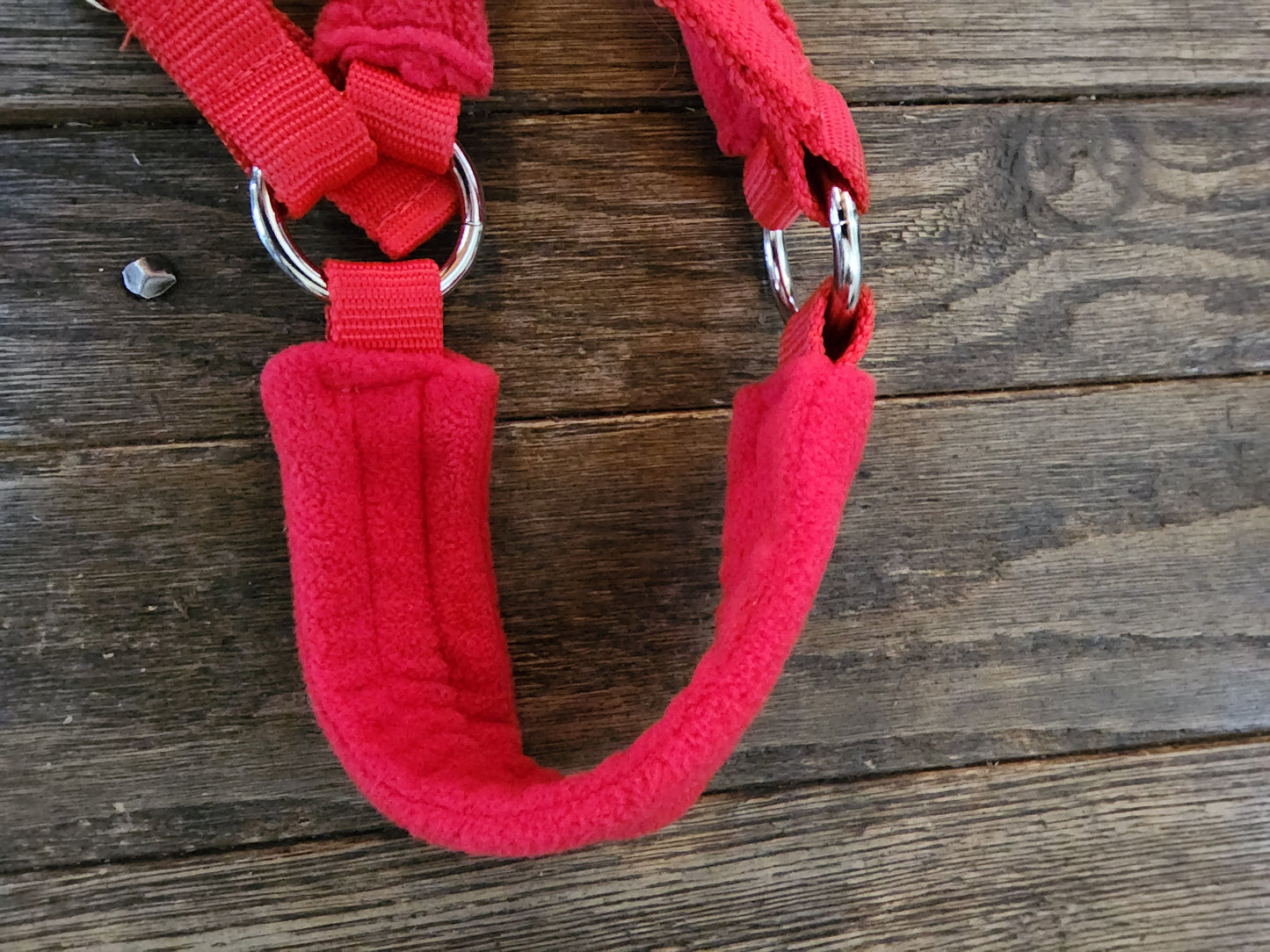 Nylon halter with comfort fleece