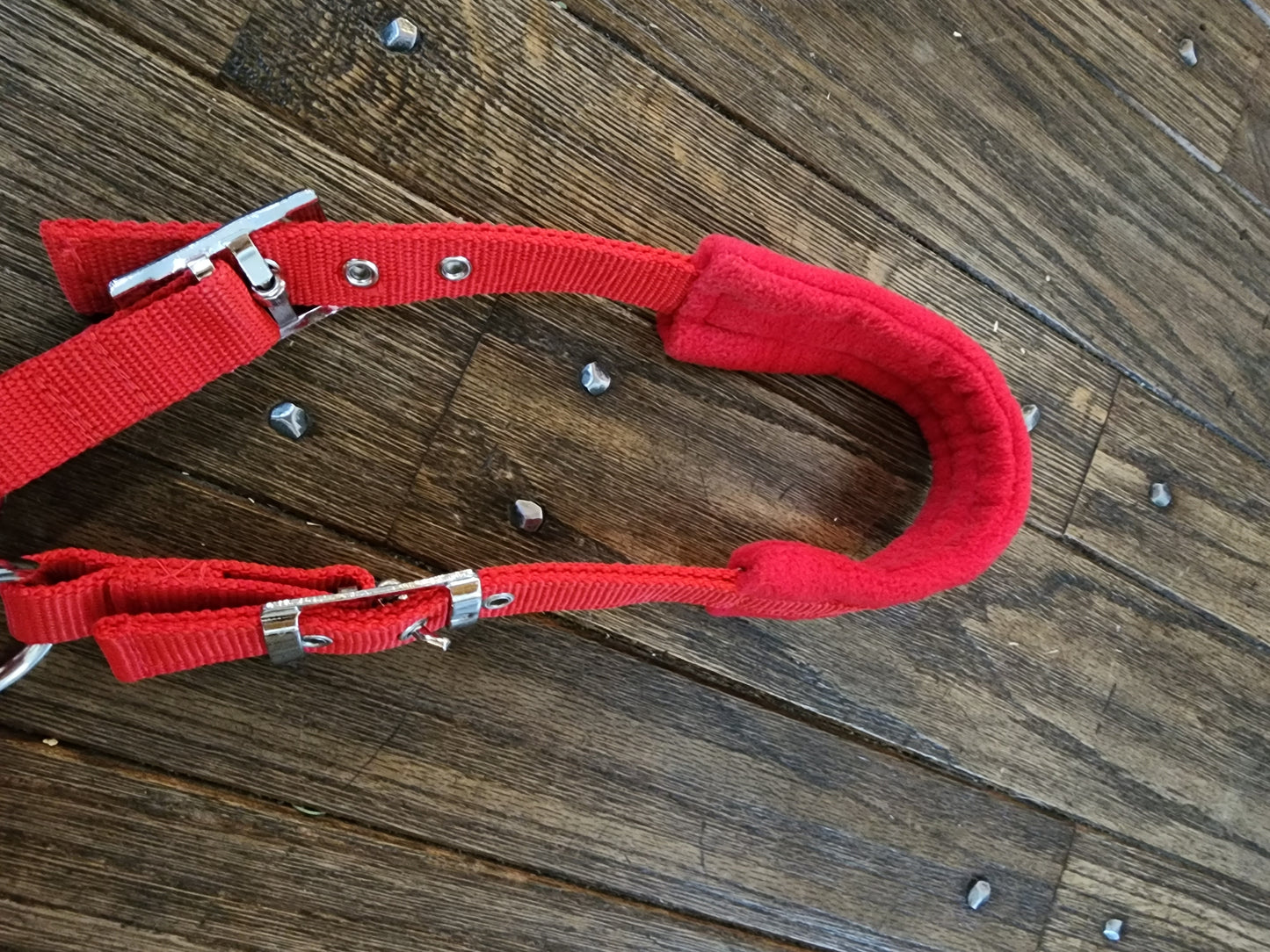 Nylon halter with comfort fleece