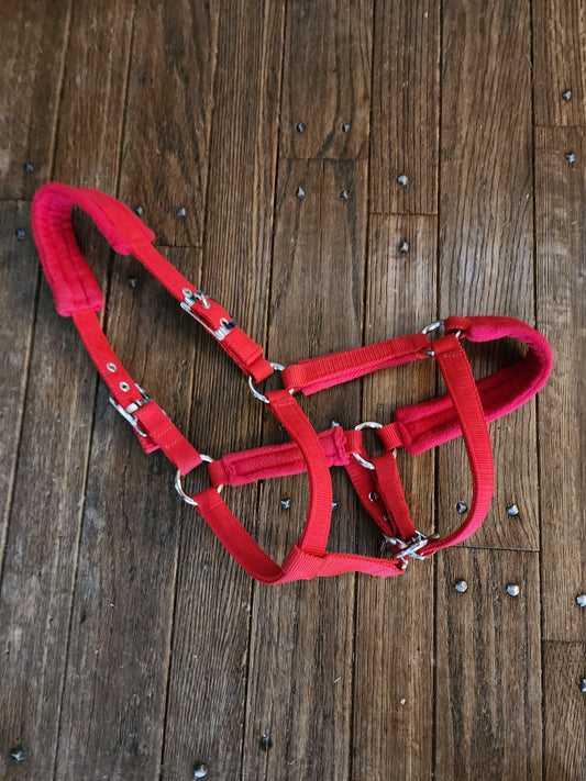 Nylon halter with comfort fleece