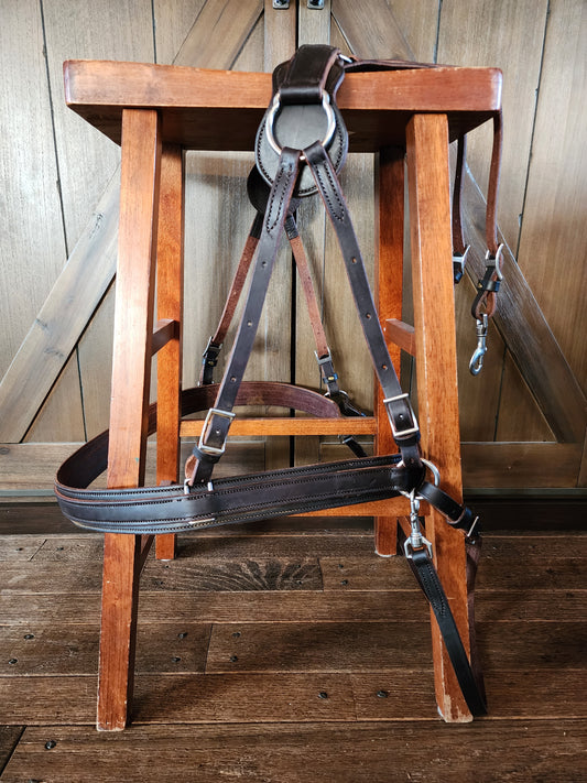 Dark oiled leather britchen